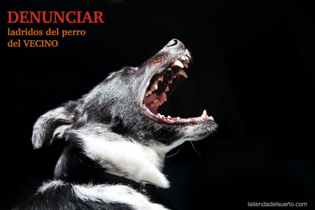 Denunciar ladridos del perro del vecino