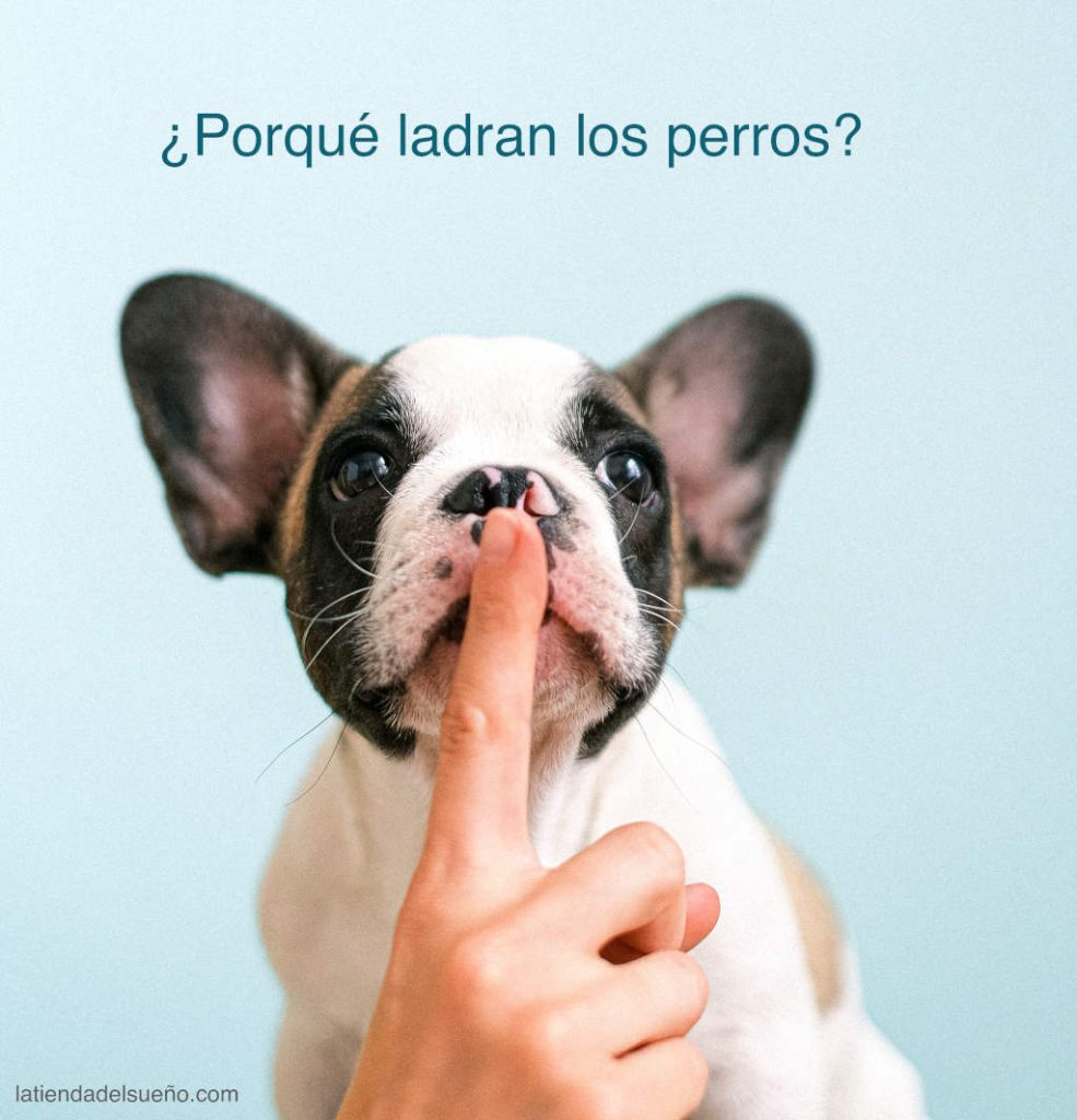 Por que ladran los perros