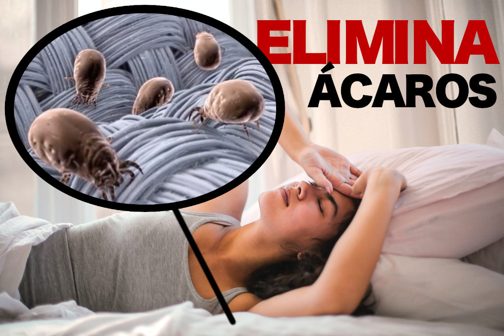 Como eliminar acaros